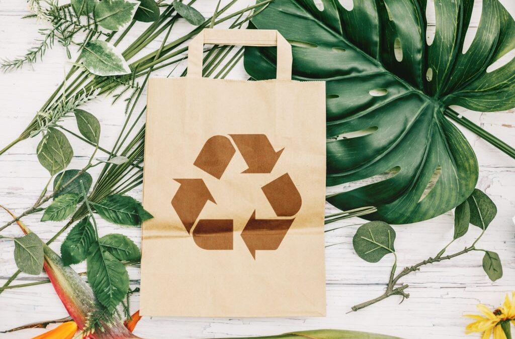 Logistica e spedizioni sempre più green con il packaging sostenibile